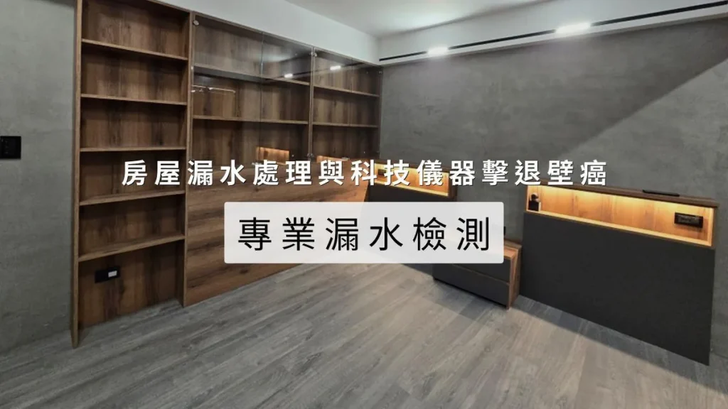 專業漏水檢測